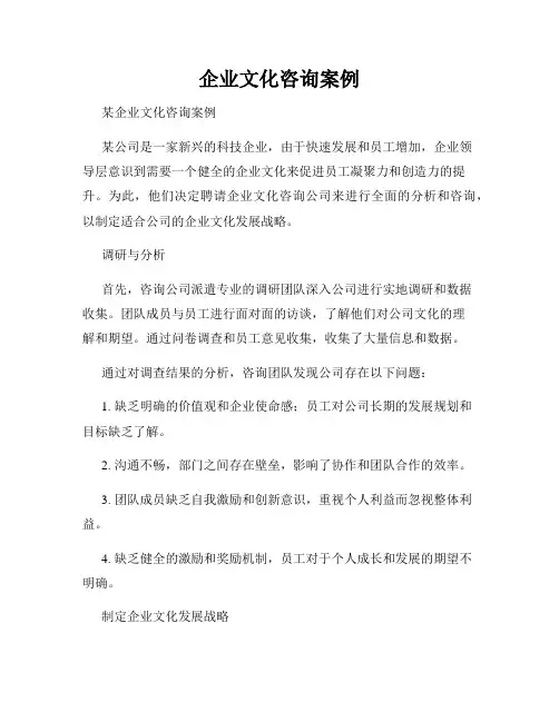 企业文化咨询案例