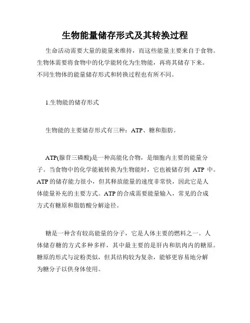 生物能量储存形式及其转换过程