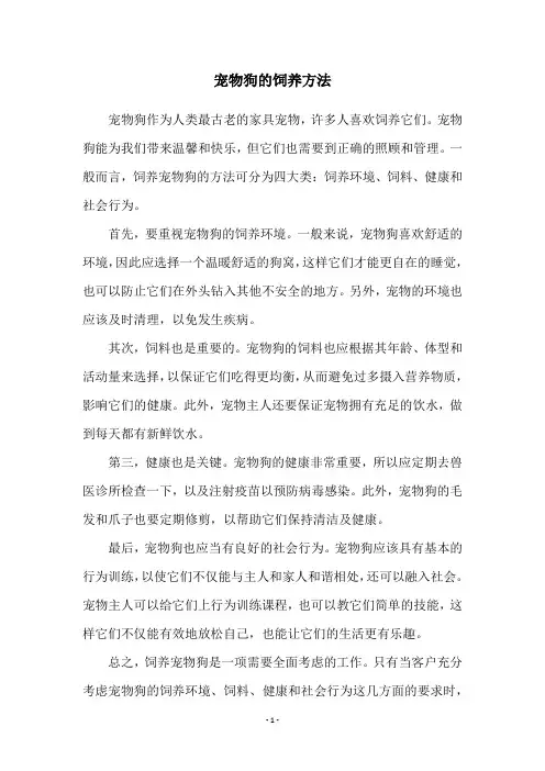 宠物狗的饲养方法