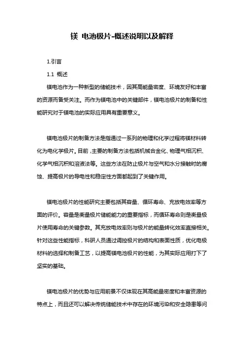 镁 电池极片-概述说明以及解释