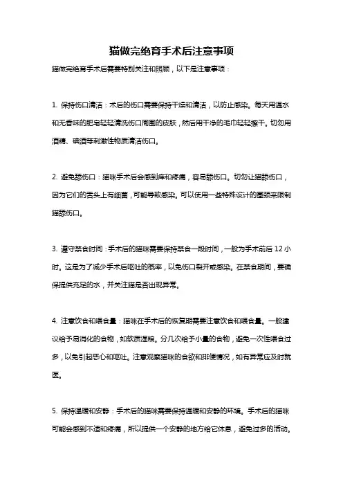 猫做完绝育手术后注意事项