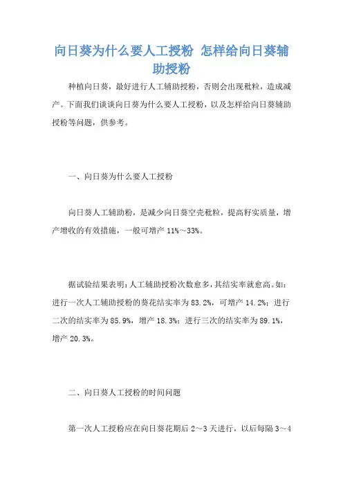 向日葵为什么要人工授粉 怎样给向日葵辅助授粉