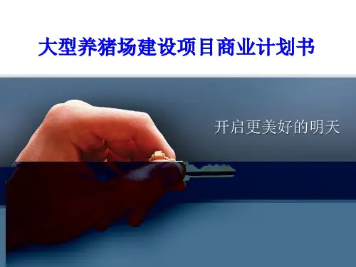大型养猪场建设项目商业计划