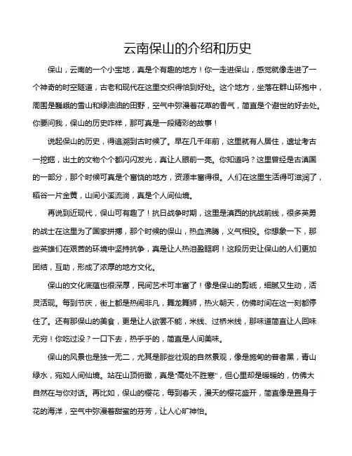 云南保山的介绍和历史