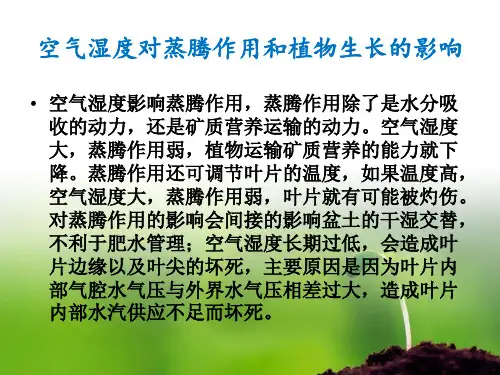 空气湿度对蒸腾作用和植物生长的影响
