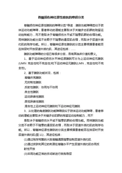 脊髓损伤神经源性膀胱的障碍分类