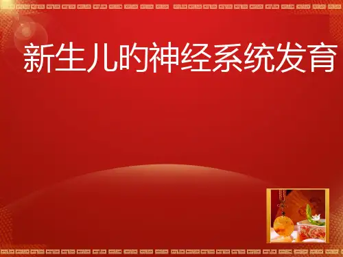 新生儿的神经系统发育
