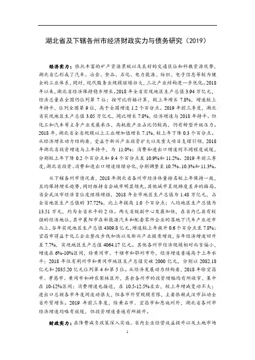湖北省及下辖各州市经济财政实力与债务研究(2019)