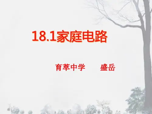 18.1家庭电路