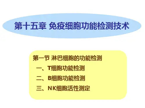 第一节淋巴细胞的功能检测一、T细胞功能检测二、B细胞功