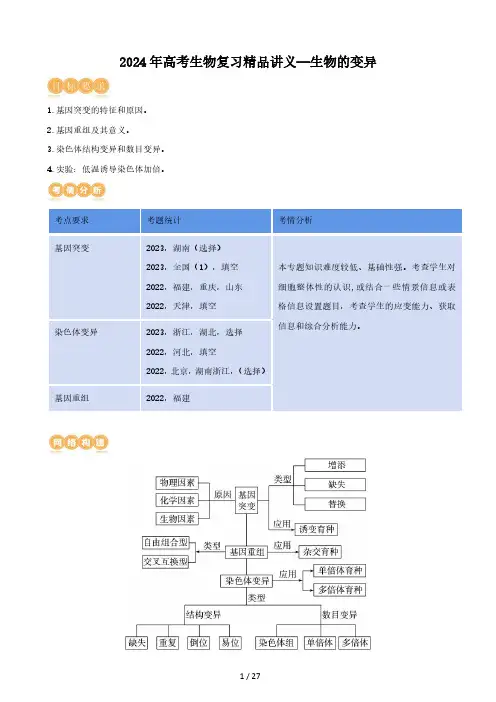 2024年高考生物复习精品讲义—生物的变异