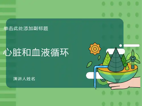 心脏和血液循环优秀课件PPT