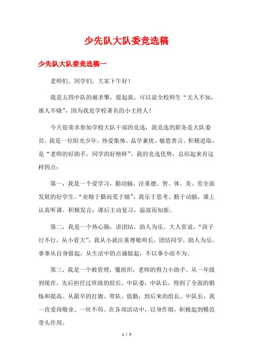 少先队大队委竞选稿