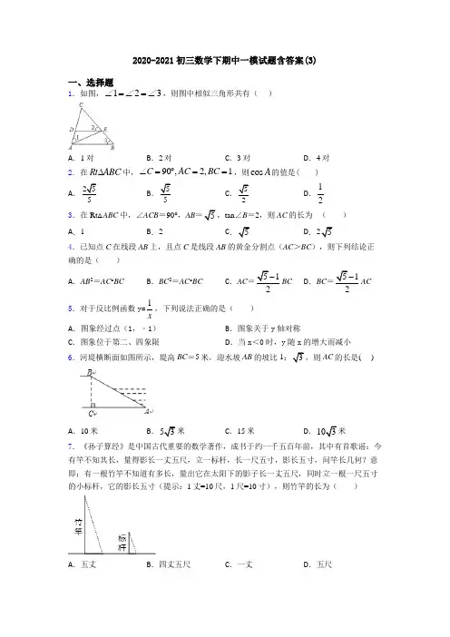 2020-2021初三数学下期中一模试题含答案(3)