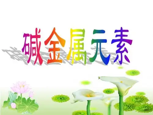 人教版高中化学必修1课件 碱金属元素课件