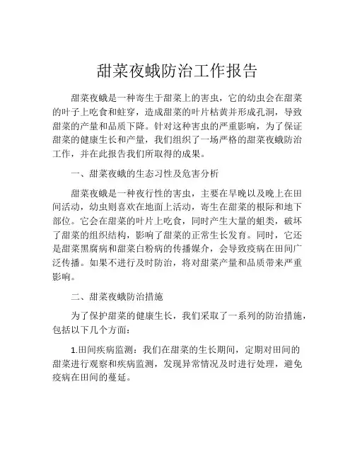 甜菜夜蛾防治工作报告