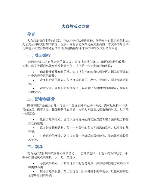 大自然活动方案