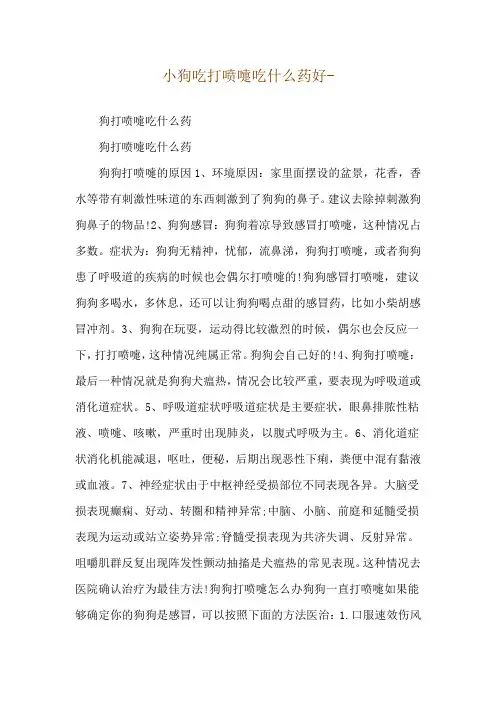 小狗吃打喷嚏吃什么药好--狗打喷嚏吃什么药
