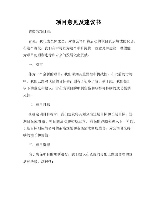 项目意见及建议书