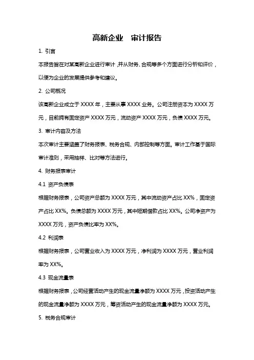 高新企业  审计报告