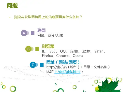 因特网上信息的来源与获取