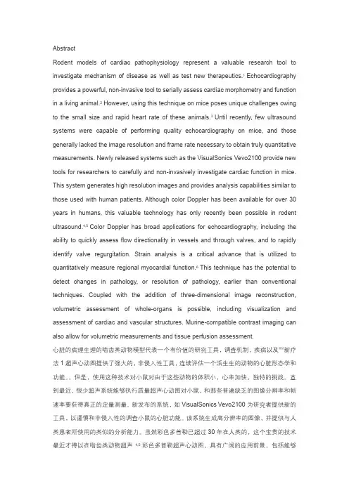 小鼠超声心动图和超声成像
