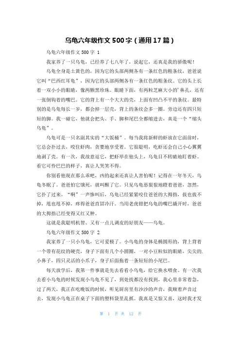 乌龟六年级作文500字(通用17篇)