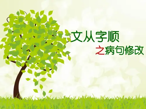 中考语文总复习专题课件：病句修改(共13张PPT)