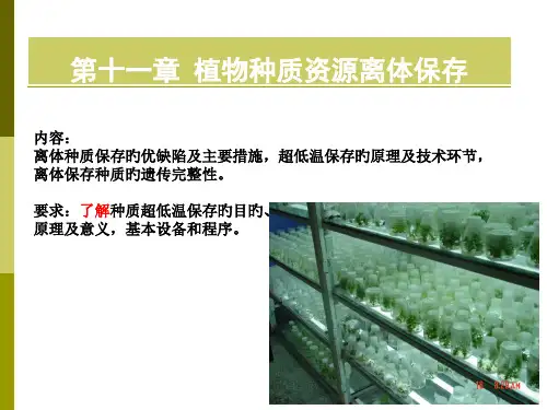 植物种质资源离体保存