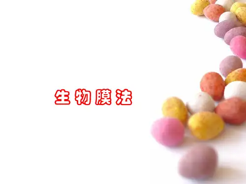 污水处理生物膜法