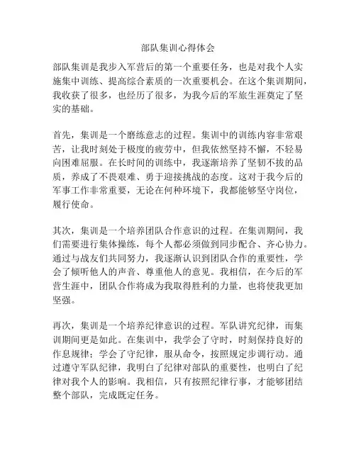 部队集训心得体会