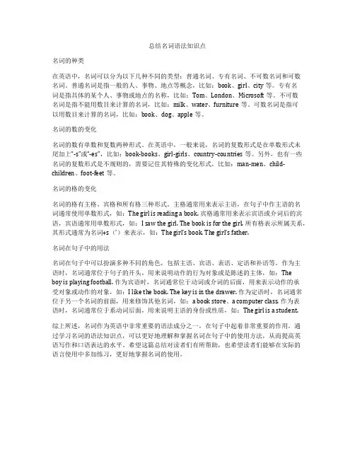 总结名词语法知识点