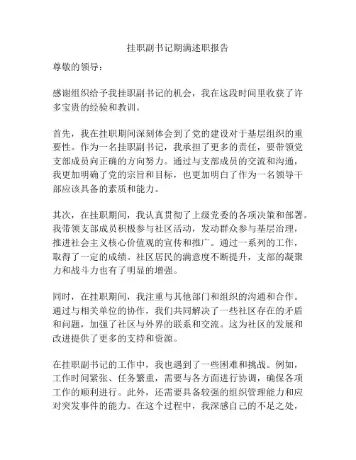 挂职副书记期满述职报告