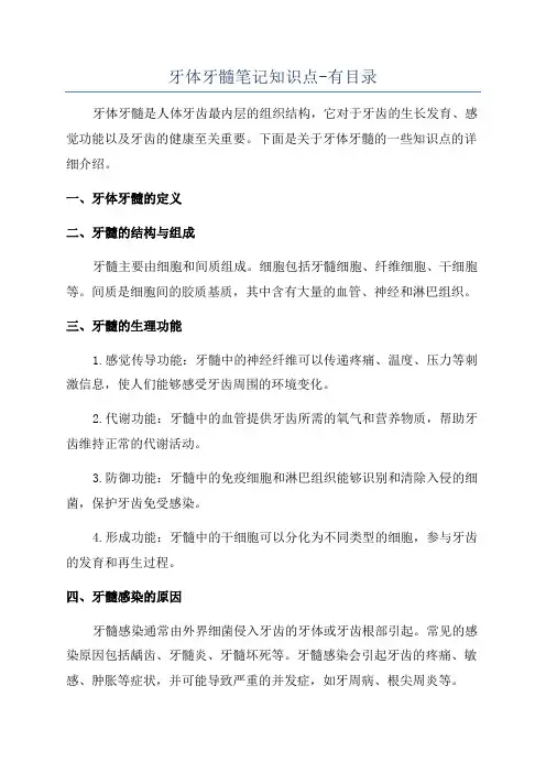 牙体牙髓笔记知识点-有目录