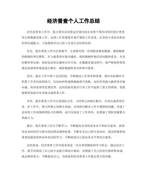 经济普查个人工作总结