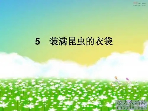 5 装满昆虫的衣袋 课件