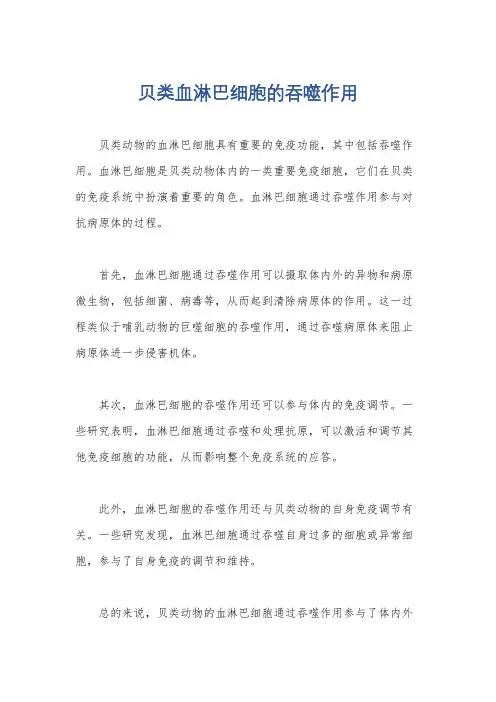 贝类血淋巴细胞的吞噬作用