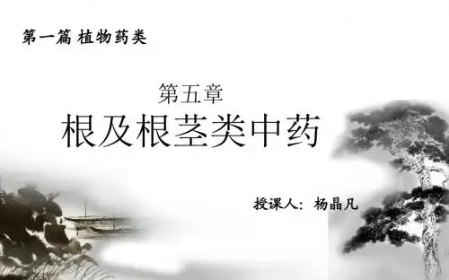 根及根茎类中药1