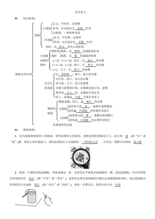 人教版物理八年级上册：第五章 透镜及其应用——章末复习(附答案)