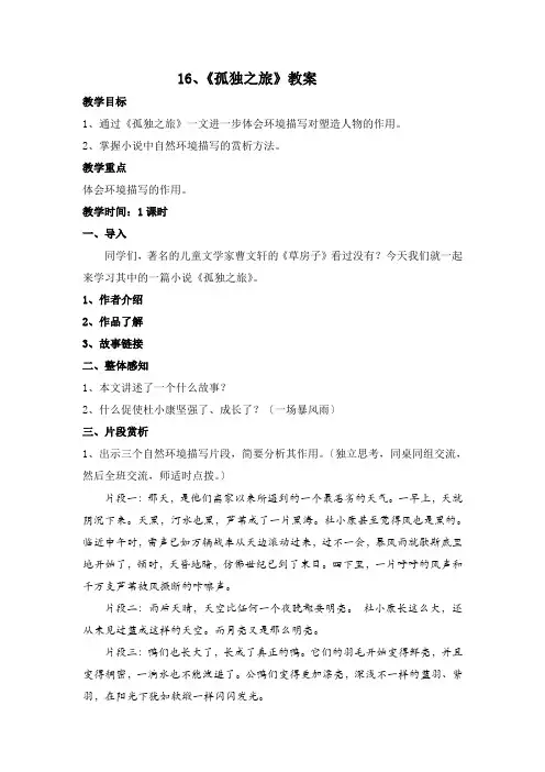 九年级语文《孤独之旅》教案 (1)