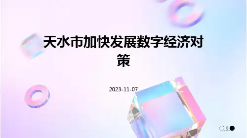 天水市加快发展数字经济对策