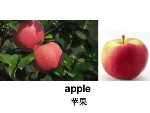 水果英语单词精品PPT课件