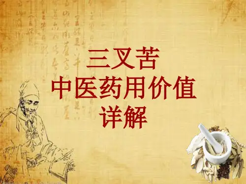 中药学_三叉苦_药材详解课件模板