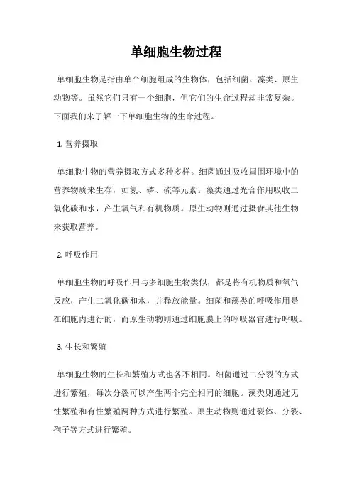 单细胞生物过程