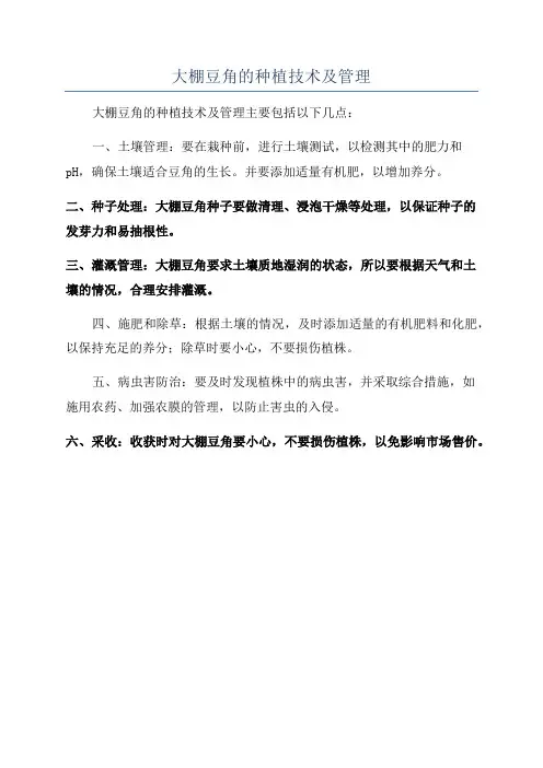 大棚豆角的种植技术及管理