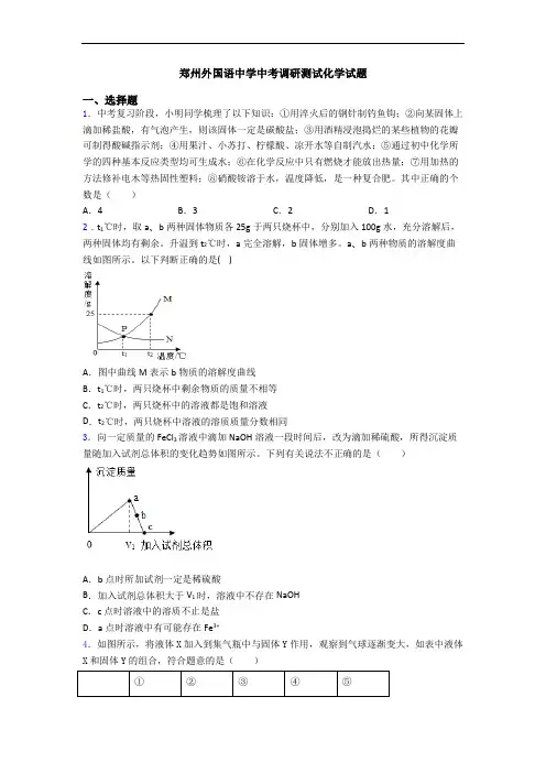 郑州外国语中学中考调研测试化学试题