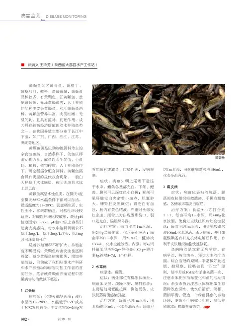 黄颡鱼3大病害发生频繁,想增加养殖效益,关键要掌握这几点