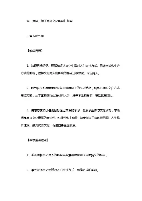 感受文化影响优秀教案_感受文化影响教案word版