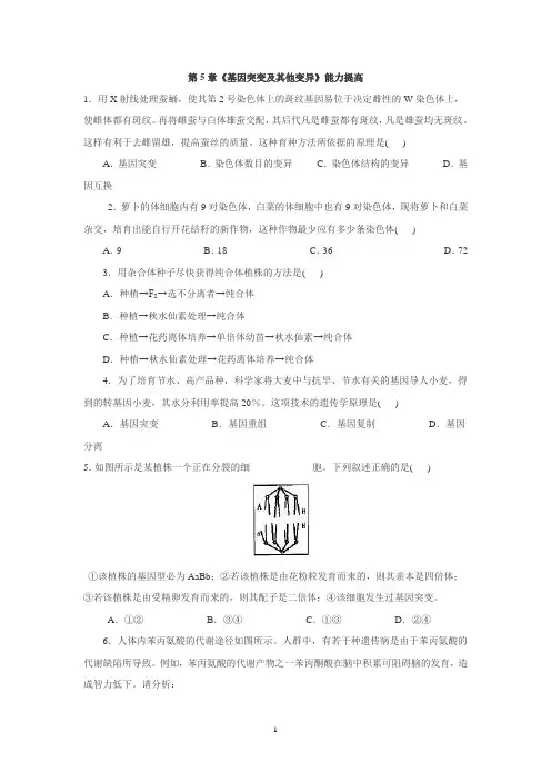第5章《基因突变及其他变异》能力提高