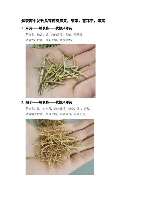 中药饮片100味